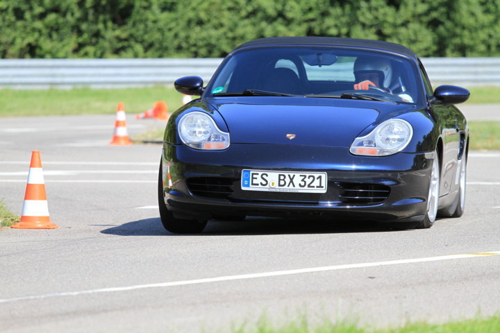 IMG_1285 _MS.JPG